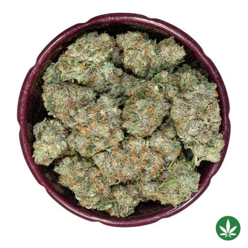 Rockstar (AAA+) - Image 3