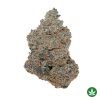 Pure Power Plant (AAAA+)