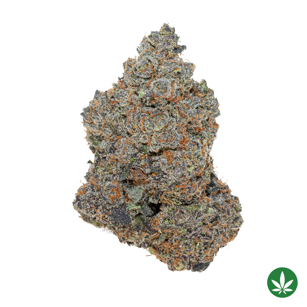 Pure Power Plant (AAAA+)