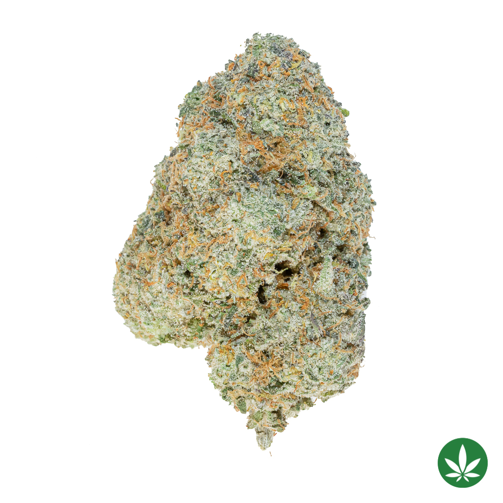 Mango Fruz (AAA+)
