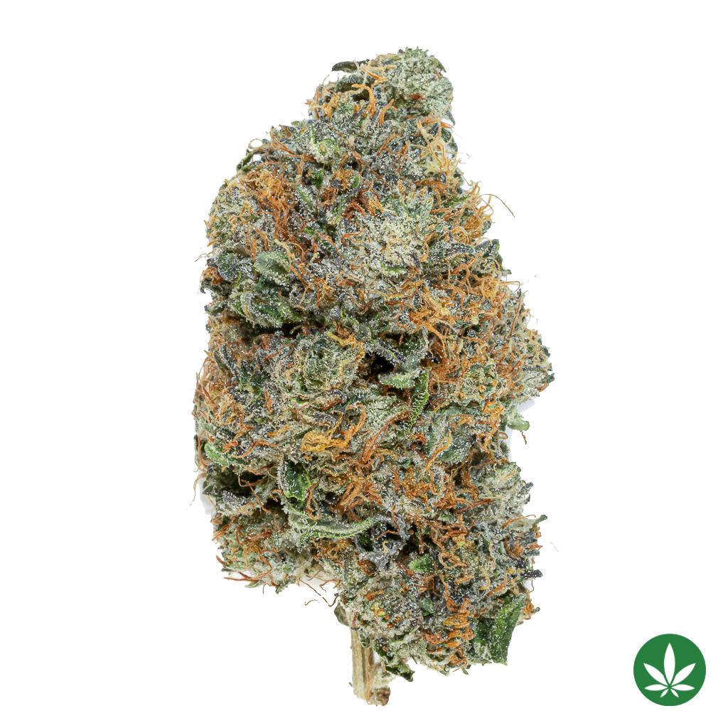 Rockstar (AAA+)
