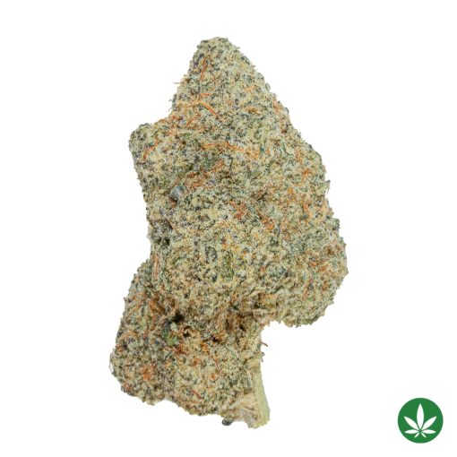 MAC 1 (AAAA+)