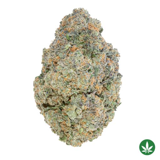 Atomic Bomb (AAAA+)