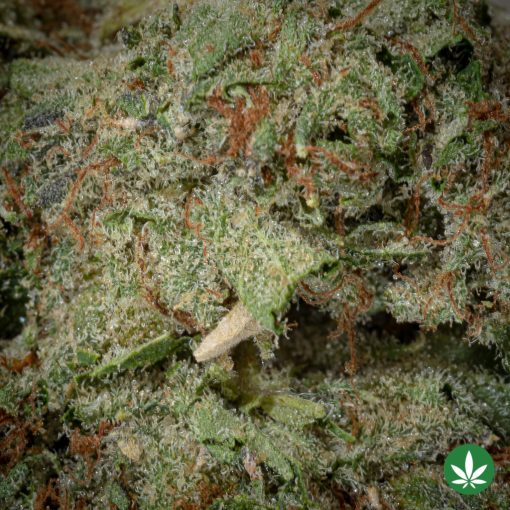 Tom Ford Pink Kush (AAAA+) - Image 2