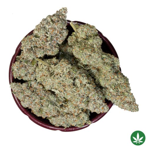 Gelato (AAAA+) - Image 3