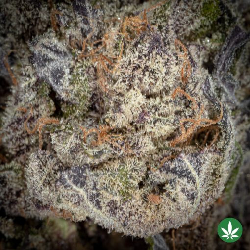 Black Diamond (AAAA+) - Image 2