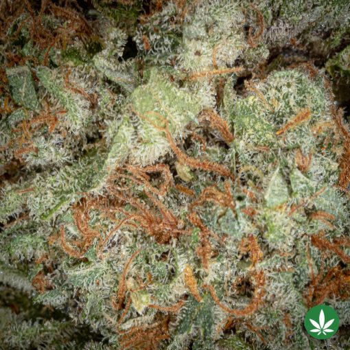 God's Green Crack (AAA+) - Image 2