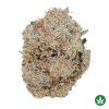 Orange Blossom Trail (AAAA+)