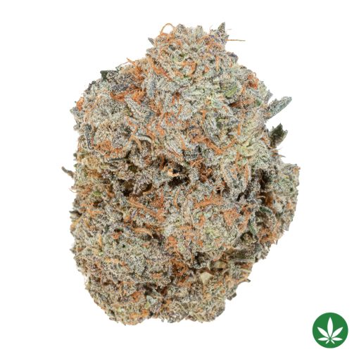 Orange Blossom Trail (AAAA+)