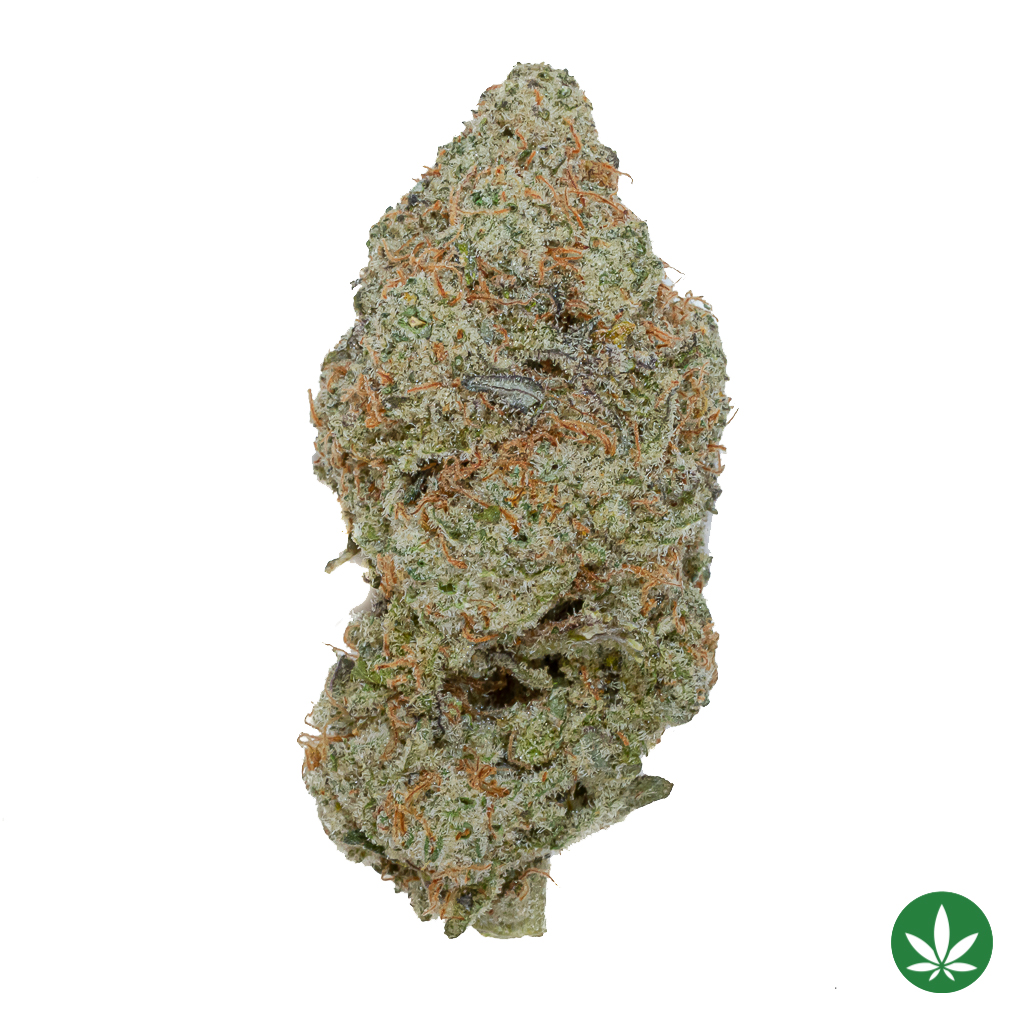 Purple MAC (AAA+)