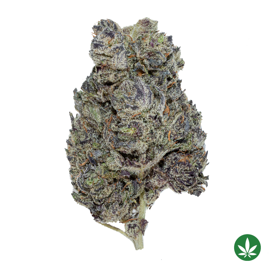 White Truffle (AAAA+)