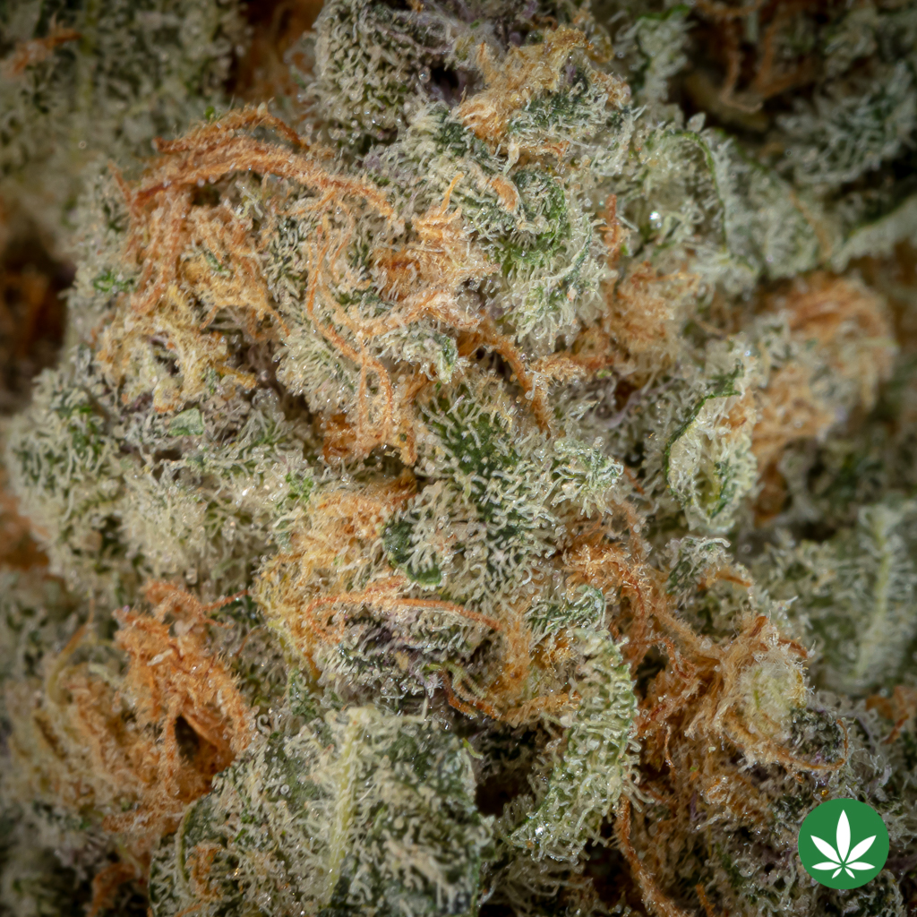 Sundae Driver (AAAA+) - Image 2