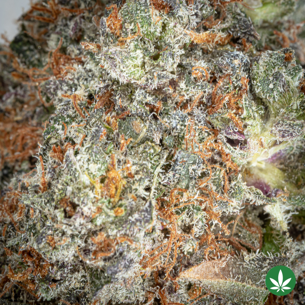 Alternative view of God's Green Crack (AAA+)