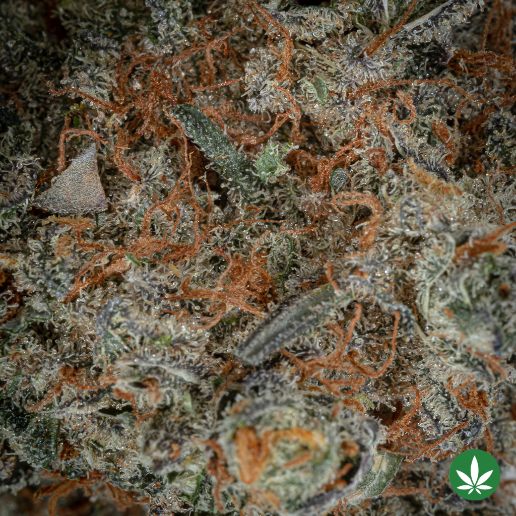 God's Green Crack (AAAA+) - Image 2