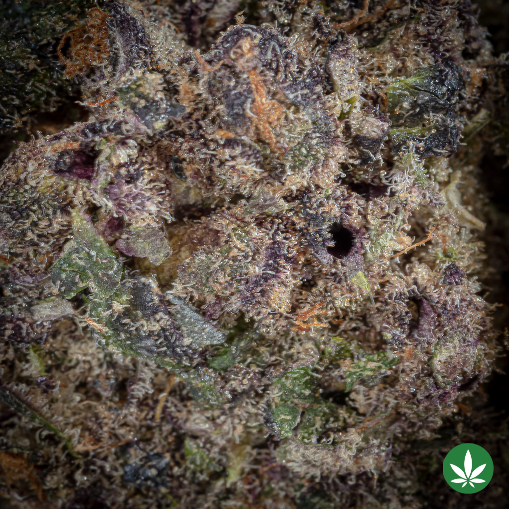 Blue Nerds (AAAA+) - Image 2