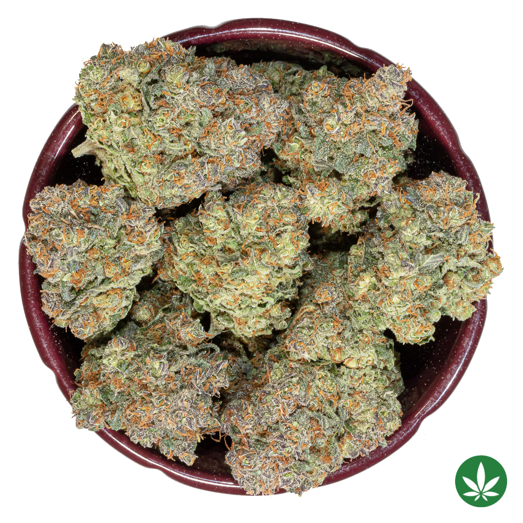 Miami Haze (AAAA+) - Image 3