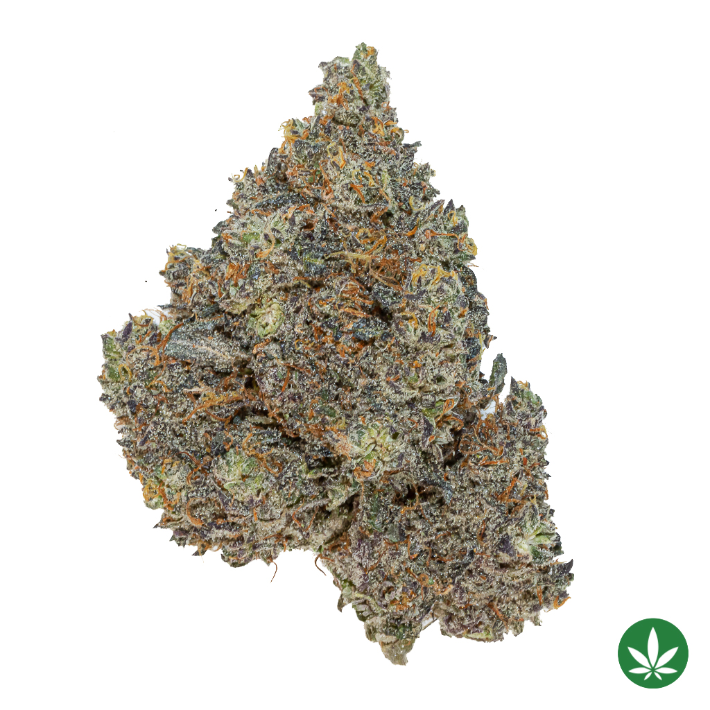 Gold Cash Gold (AAAA+)