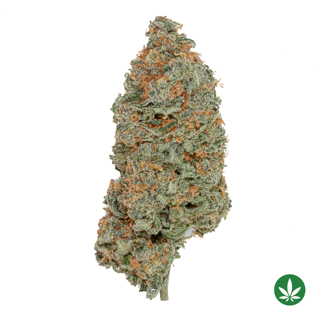 Sundae Driver (AAAA+)