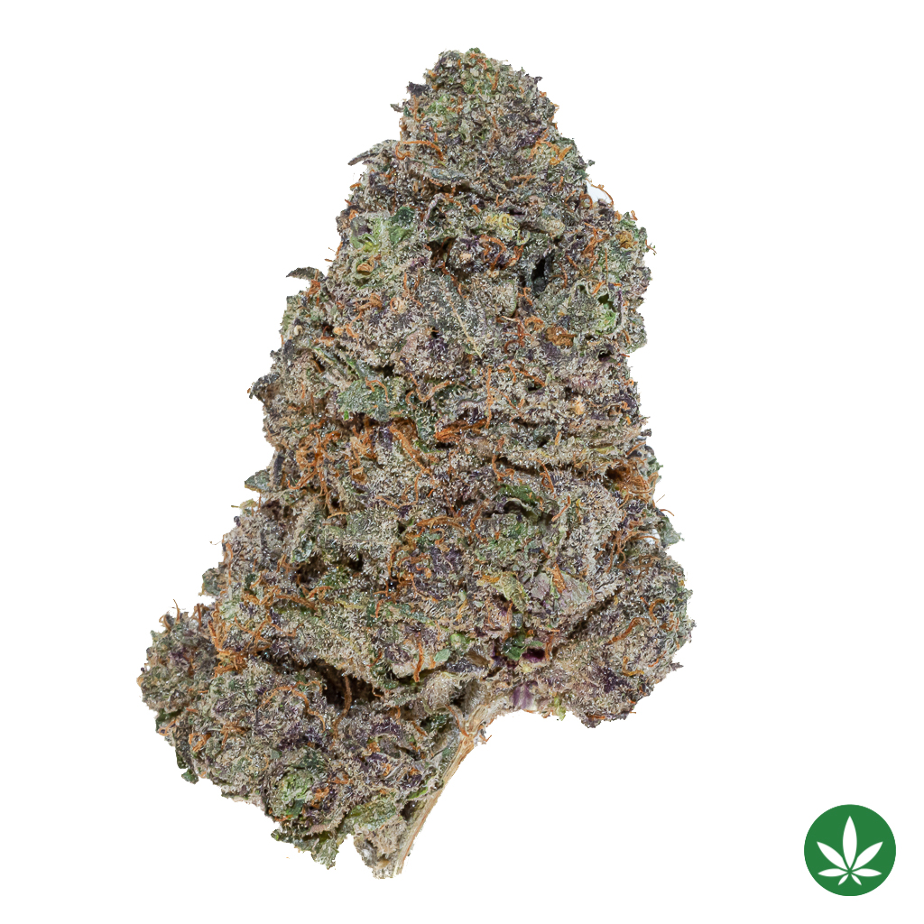 Udder Madness (AAAA+)