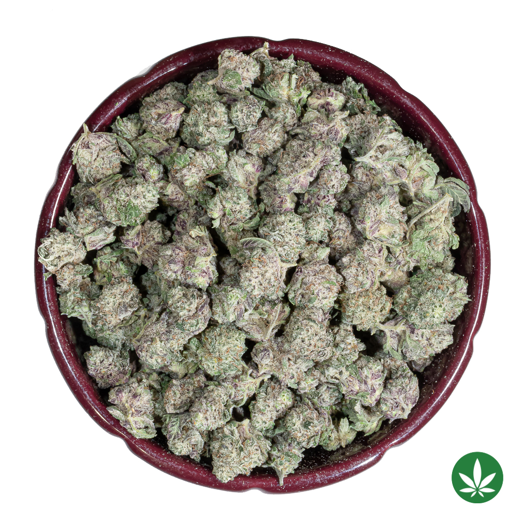 Purple MAC (AAA+) - Popcorn Only
