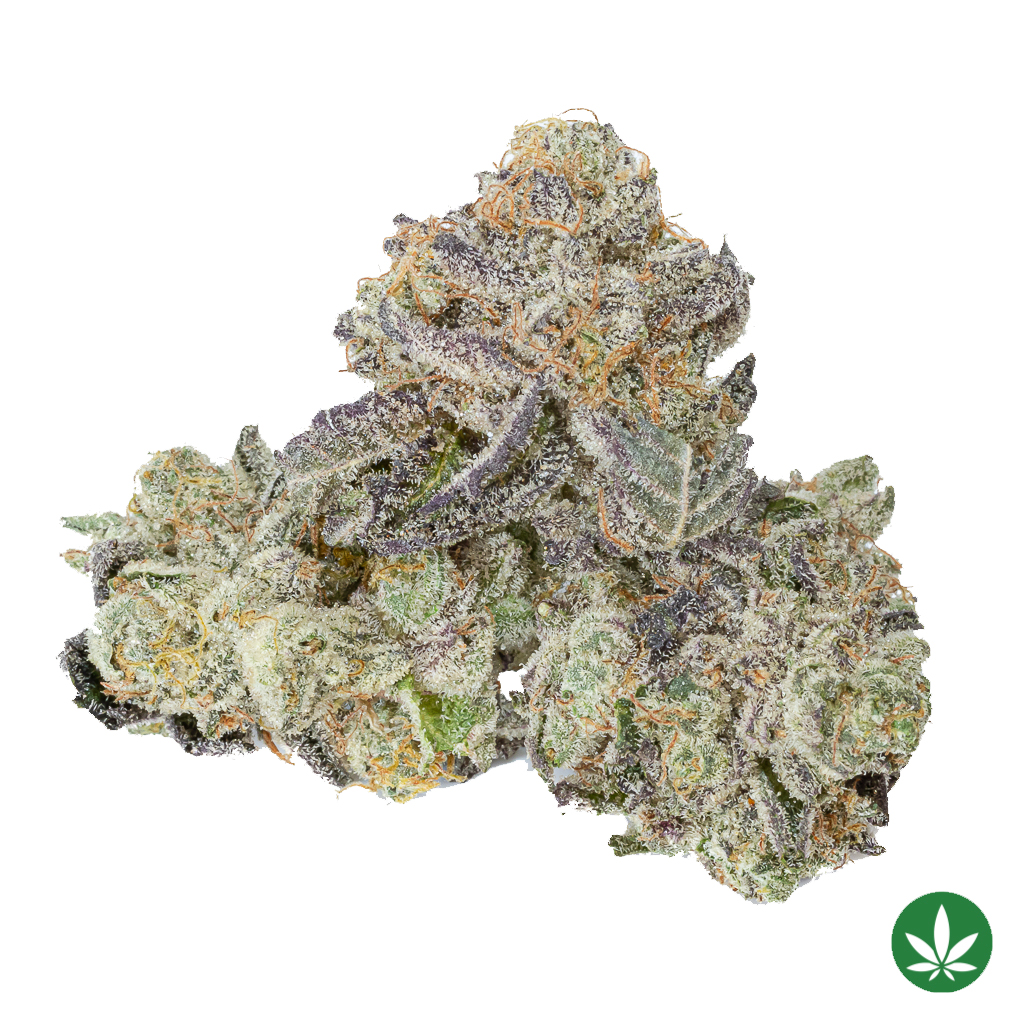 Gastro Pop LSO (AAAA+) - Smalls Only