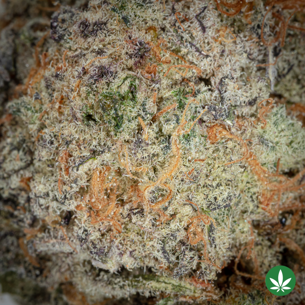 Donkey Butter (AAAA+) - Smalls Only - Image 2