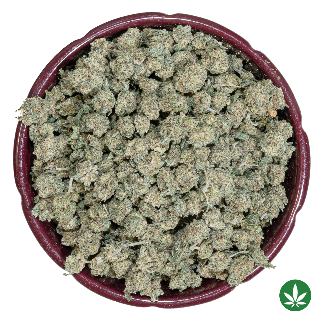 Amnesia Haze (AAA+) - Popcorn Only