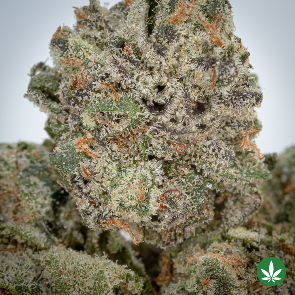 Alternative view of Runtz 33 (AAAA+) - Smalls Only