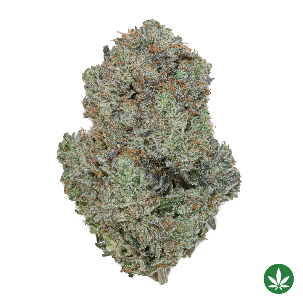 Dank Schrader (AAAA+) *GAS!*