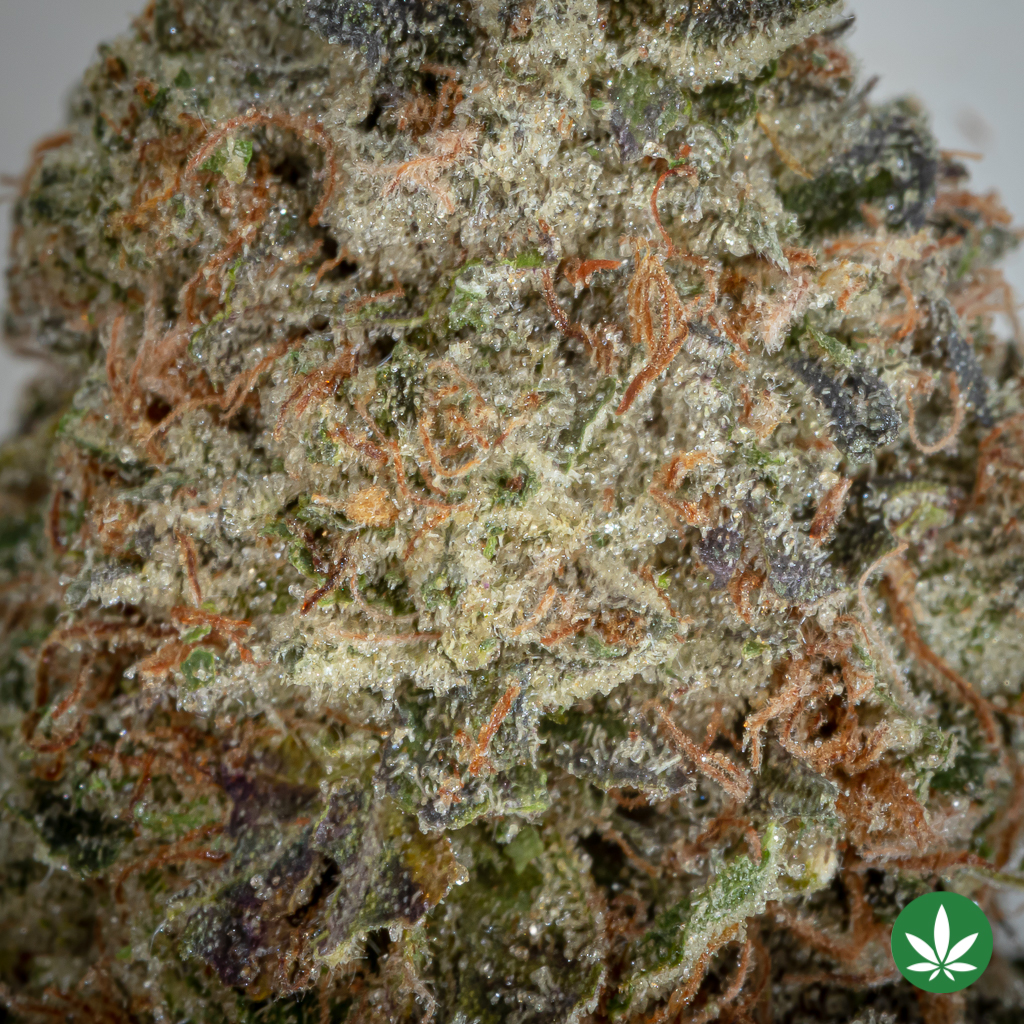 Rockstar Kush (AAAA+) - Image 2