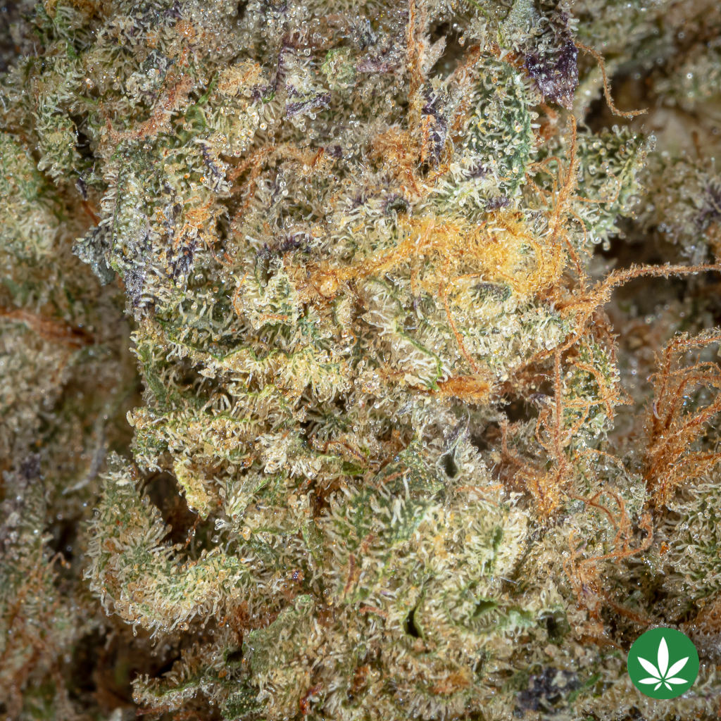 Route 65 (AAAA+) - Image 2