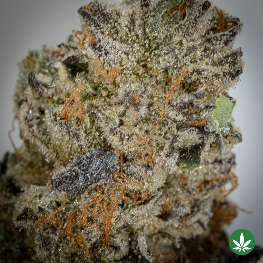 Rainbow Marker (AAAA+) - Image 2