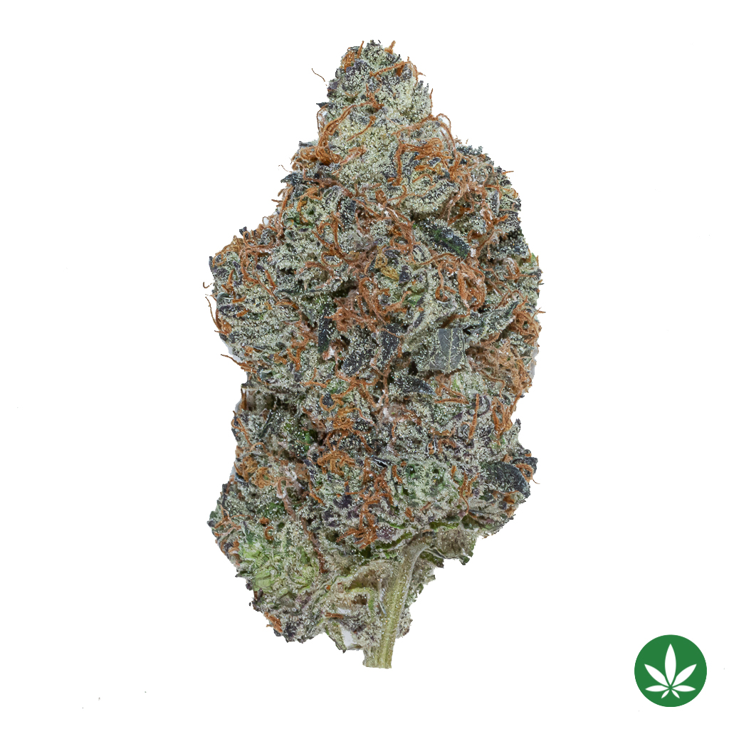 Pure Michigan (AAAA+)