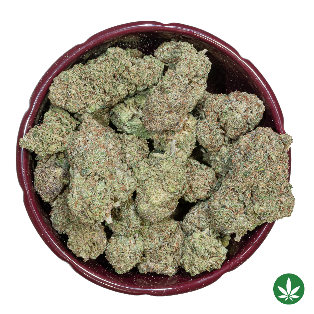 El Muerte (AAAA+) - Image 3