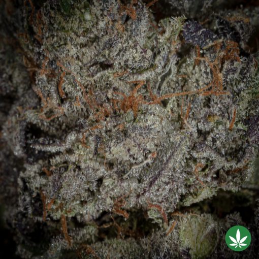 Alternative view of Hindu Kush (AAAA+) *KILLER GAS!*
