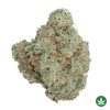 Sugar Cookie (AAAA+)