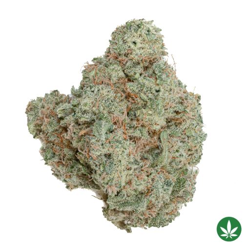 Sugar Cookie (AAAA+)