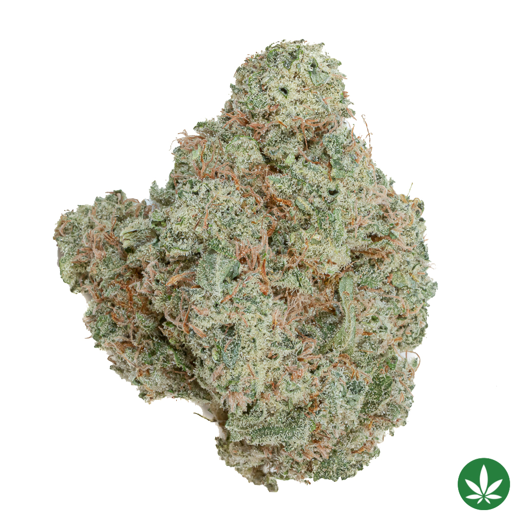 Sugar Cookie (AAAA+)