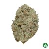 Hawaiian Haze (AAA+)