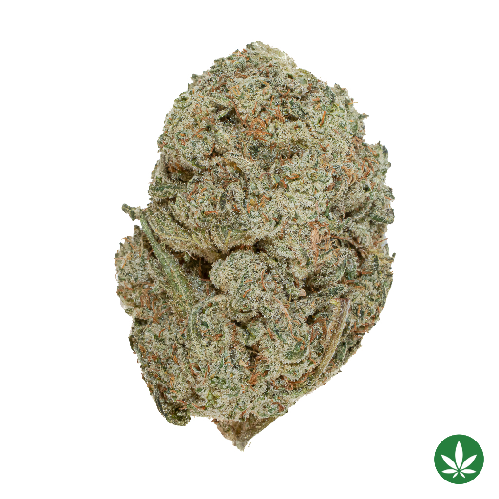Hawaiian Haze (AAA+)