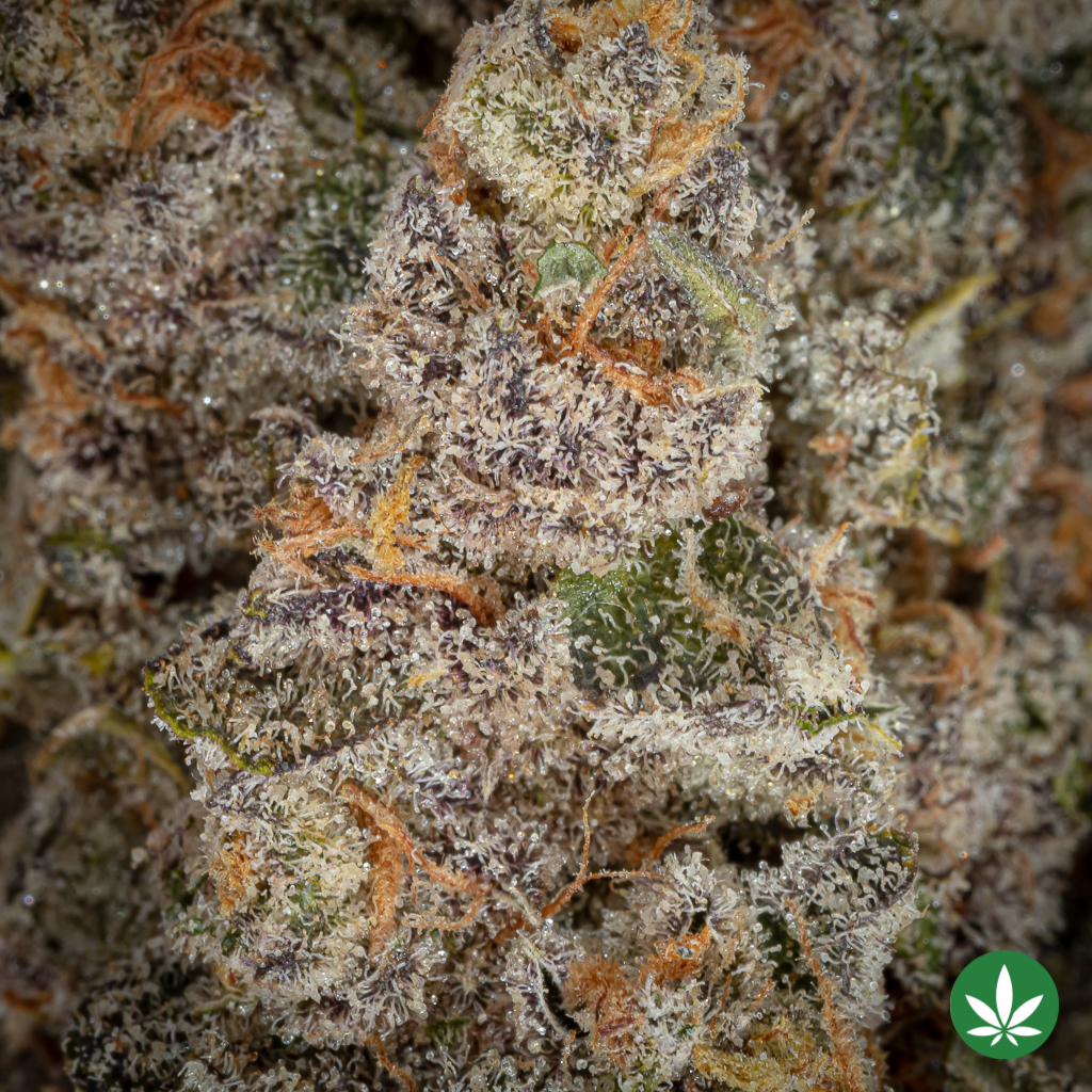 Cotton Candy Milkshake (AAAA+) - Image 2