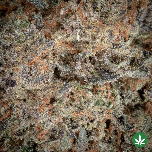 First Class Gas (AAAA+) *HEAVY SMOKE!* - Image 2