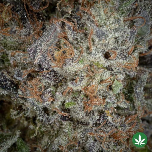Triple OG (AAAA+) - Image 2