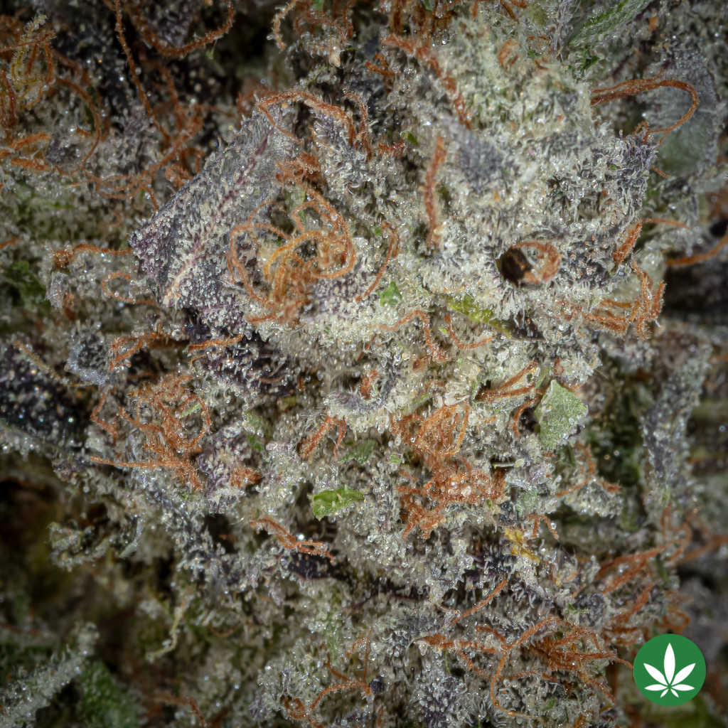 Triple OG (AAAA+) - Image 2
